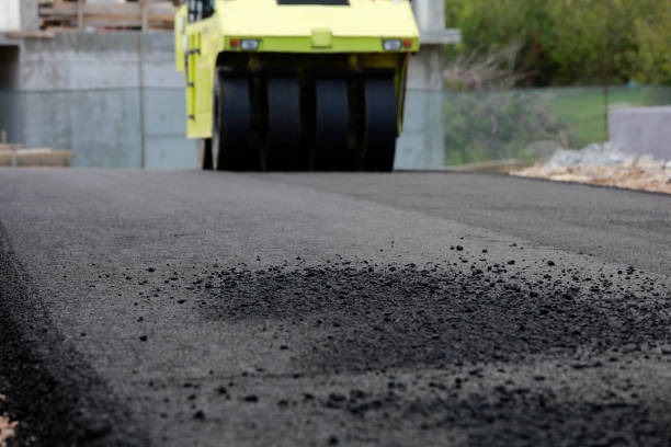 Best Driveway Paving Contractor  in Laguna Park, TX