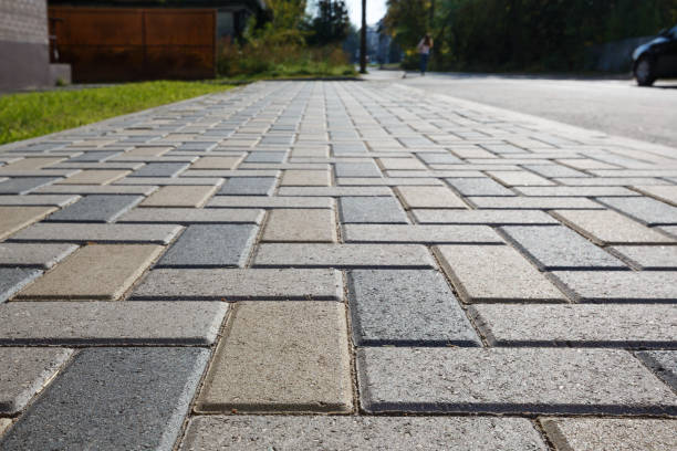 Best Driveway Pavers Near Me  in Laguna Park, TX