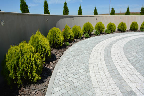 Paver Driveway Replacement in Laguna Park, TX